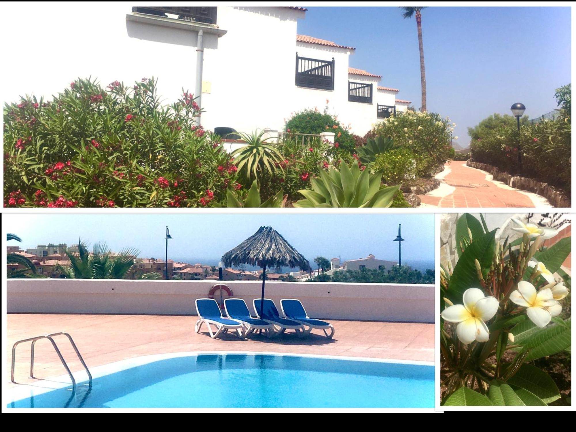 Cosy Flat Near Golf Club - Heated Pool, Terrace, Garden, Wi-fi San Miguel de Abona